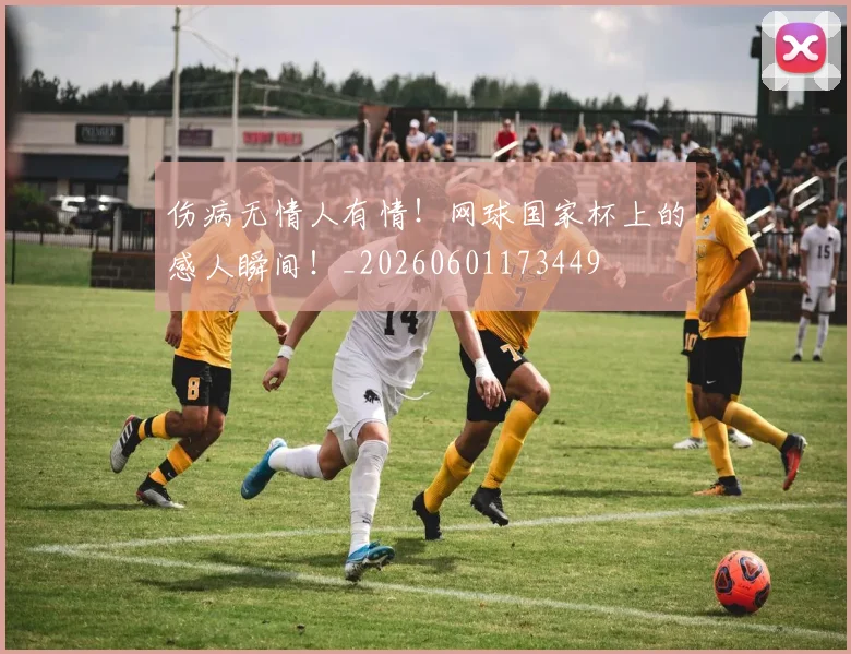 伤病无情人有情!网球国家杯上的感人瞬间!_20260601173449