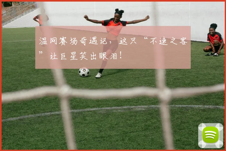 温网赛场奇遇记,这只“不速之客”让巨星笑出眼泪!